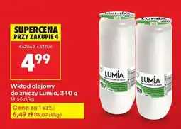 Biedronka Wkład olejowy do zniczy Lumia , 340 g oferta