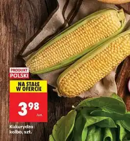 Biedronka Kukurydza kolba szt oferta