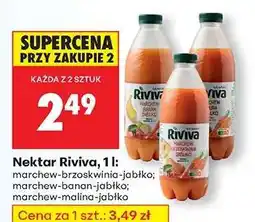 Biedronka Nektar Riviva, 1 l oferta