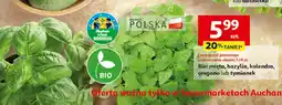 Auchan Bio: mięta, bazylia, kolendra, oregano lub tymianek Auchan oferta
