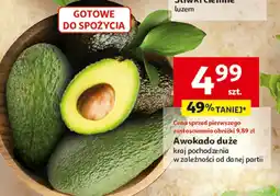 Auchan Awokado duże Auchan oferta