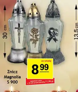 Gram Market Znicz Magnolia S 900 oferta