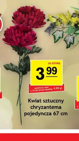 Gram Market Kwiat sztuczny chryzantema oferta
