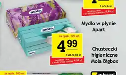 Gram Market Chusteczki higieniczne Mola Bigbox oferta