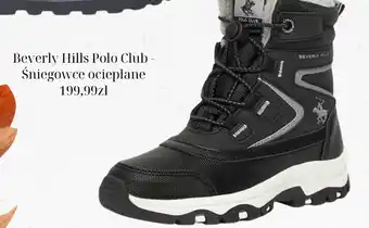 CCC Śniegowce Beverly hills polo club oferta