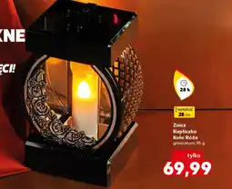 Kaufland Znicz Koło oferta