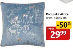 Black Red White Poduszka oferta