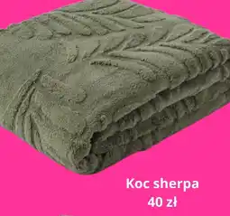 Pepco Koc Sherpa oferta
