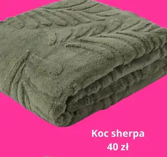 Pepco Koc Sherpa oferta