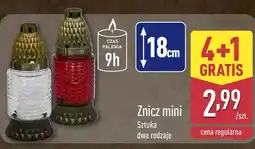 ALDI Znicz oferta