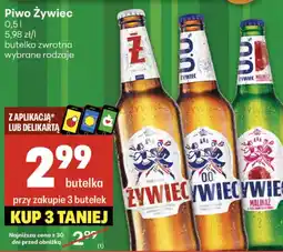 Delikatesy Centrum Piwo Żywiec oferta