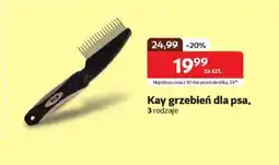 Kakadu Kay grzebień dla psa oferta