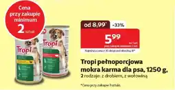Kakadu Tropi pełnoporcjowa mokra karma dla psa oferta
