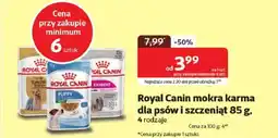 Kakadu Royal Canin mokra karma dla psów i szczeniąt oferta