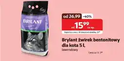 Kakadu Brylant żwirek bentonitowy dla kota oferta