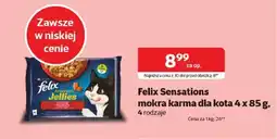 Kakadu Felix Sensations mokra karma dla kota oferta