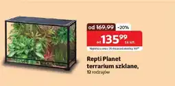 Kakadu Repti Planet terrarium szklane oferta