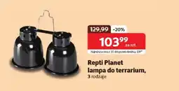 Kakadu Repti Planet lampa do terrarium oferta