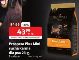 Kakadu Prospera Plus Mini sucha karma dla psa oferta
