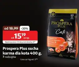 Kakadu Prospera Plus sucha karma dla kota oferta