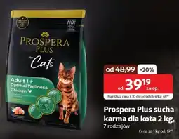 Kakadu Prospera Plus sucha karma dla kota oferta