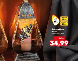 Kaufland Znicz szklany Róża oferta