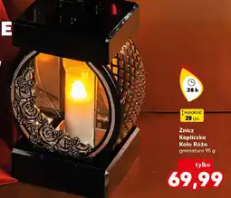 Kaufland Znicz Kapliczka Koło Róża oferta