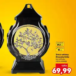 Kaufland Znicz szklany Drzewko/Lilia oferta