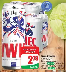 Dino Kapusta biała Dino oferta