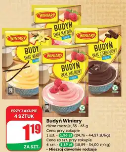 Dino Budyń Winiary różne smaki oferta