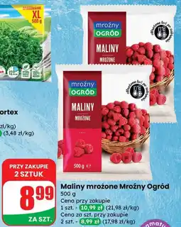 Dino Maliny mrożone Mroźny Ogród oferta