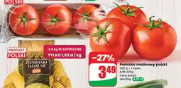 Dino Pomidor malinowy polski Dino oferta