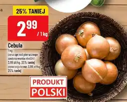 Polomarket Cebula POLOmarket oferta