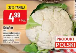 Polomarket Kalafior POLOmarket oferta
