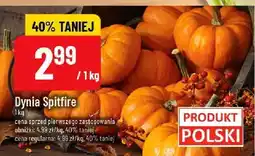 Polomarket Dynia Spitfire POLOmarket oferta