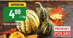 Polomarket Dynia ozdobna POLOmarket oferta
