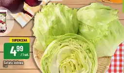 Polomarket Sałata lodowa POLOmarket oferta