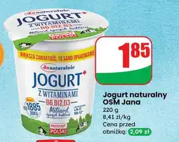 Dino Jogurt naturalny OSM Jana oferta