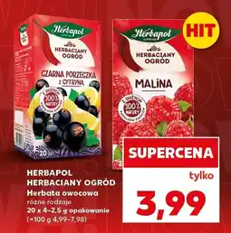 Kaufland Herbata owocowa Herbaciany Ogród Herbapol oferta