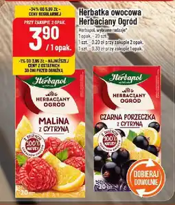 Polomarket Herbata owocowa Herbapol Herbaciany Ogród oferta