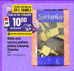 Polomarket Wafle mini cytryna polane polewą kakaową Sielanka oferta