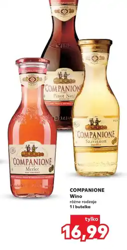 Kaufland Wino Companione oferta