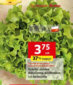 Auchan Sałata oferta