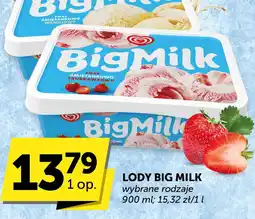 Euro Sklep Lody Big Milk śmietankowo-waniliowe, śmietankowo-truskawkowe oferta