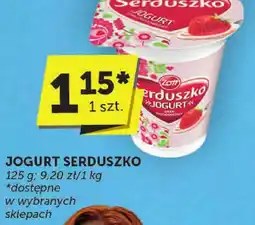 Euro Sklep Jogurt Serduszko oferta