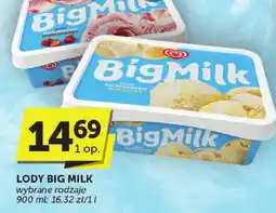 Euro Sklep Lody Big Milk oferta