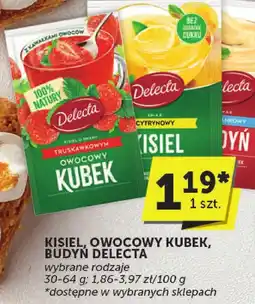 Groszek Kisiel owocowy Kubek Delecta różne rodzaje oferta