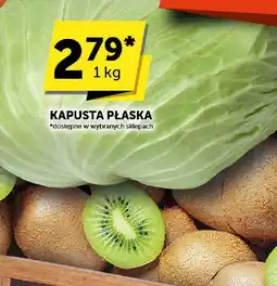 ABC Kapusta płaska ABC oferta