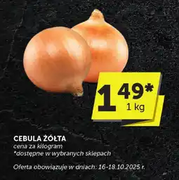 ABC Cebula żółta ABC oferta