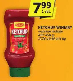 ABC Ketchup Winiary różne rodzaje oferta
